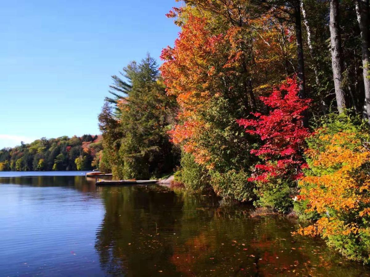 Sunny Point Resort Otter Lake Exterior foto
